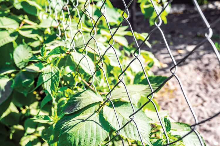 Does Galvanized Steel Contain Lead? Mother Earth News